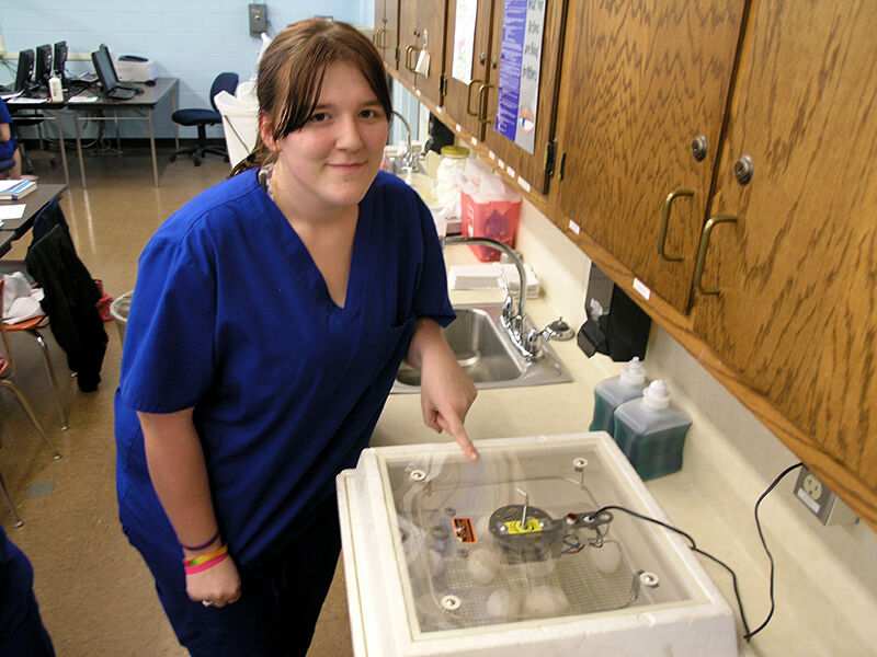 Health Professions Students Study Embryology